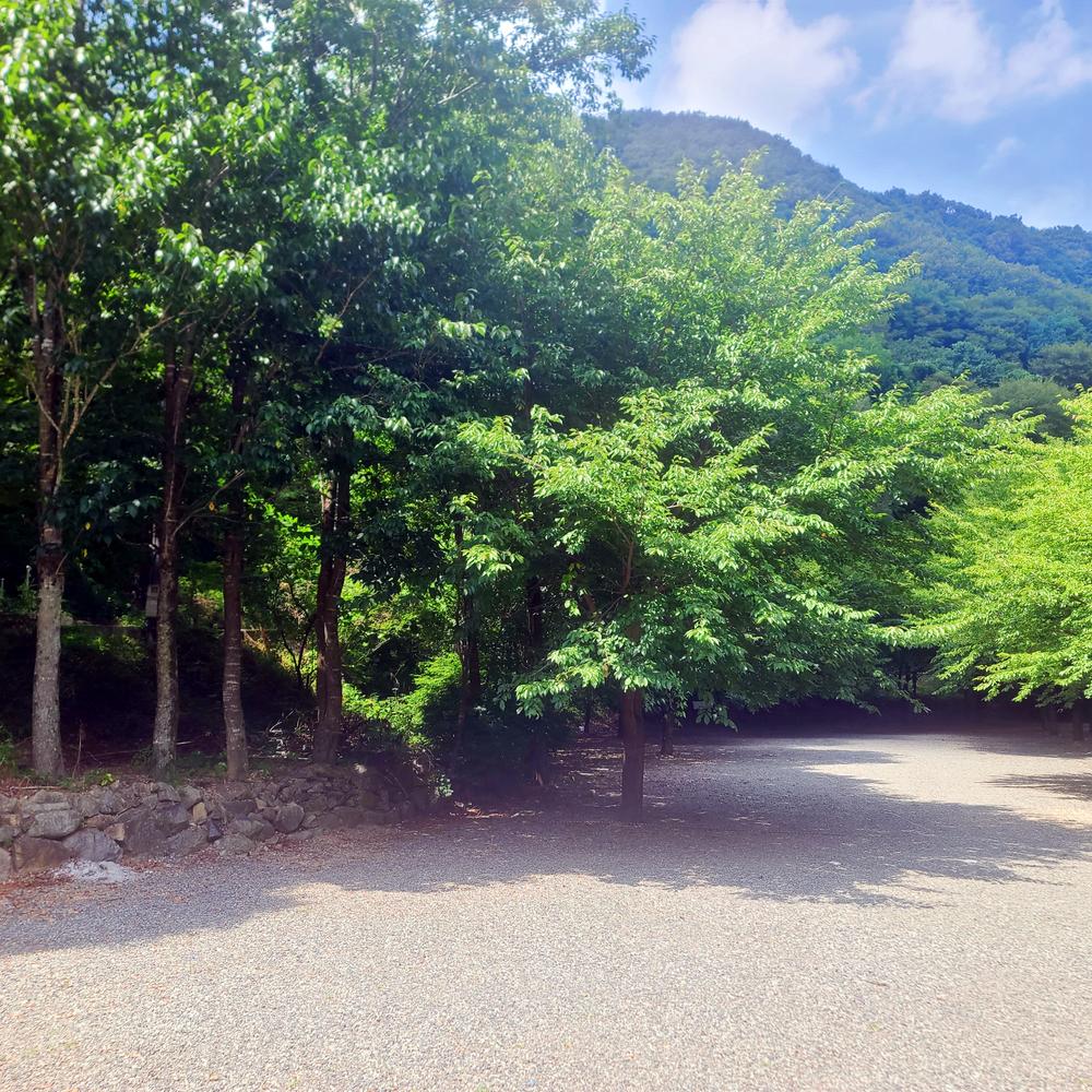 별삼킨별캠핑장