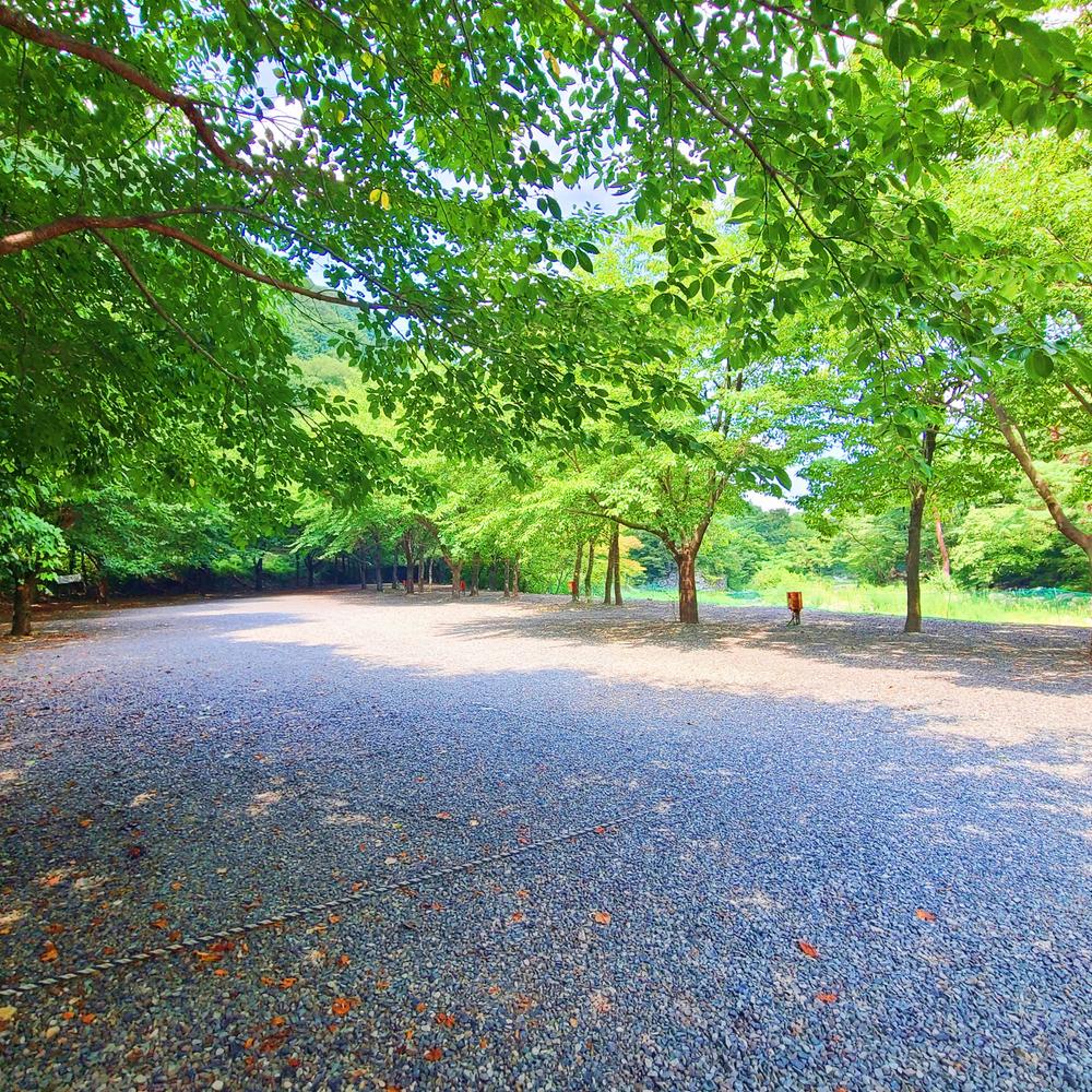 별삼킨별캠핑장