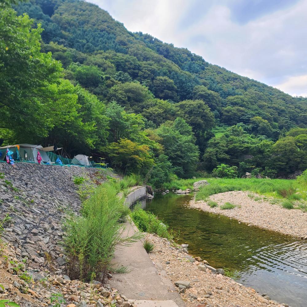 별삼킨별캠핑장