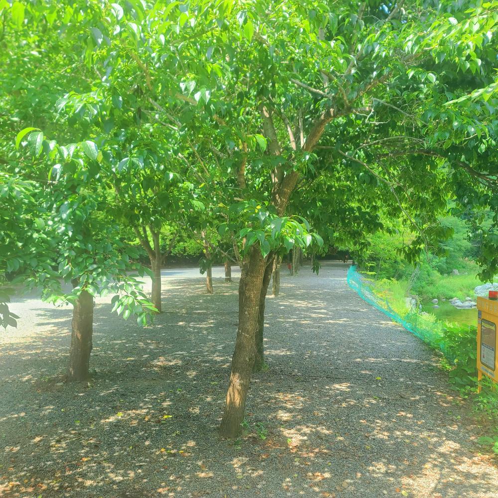 별삼킨별캠핑장