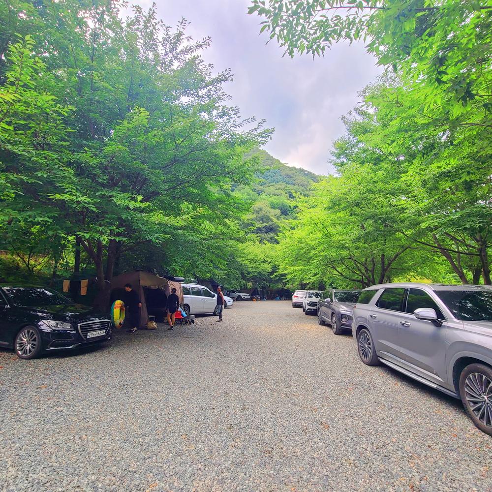 별삼킨별캠핑장