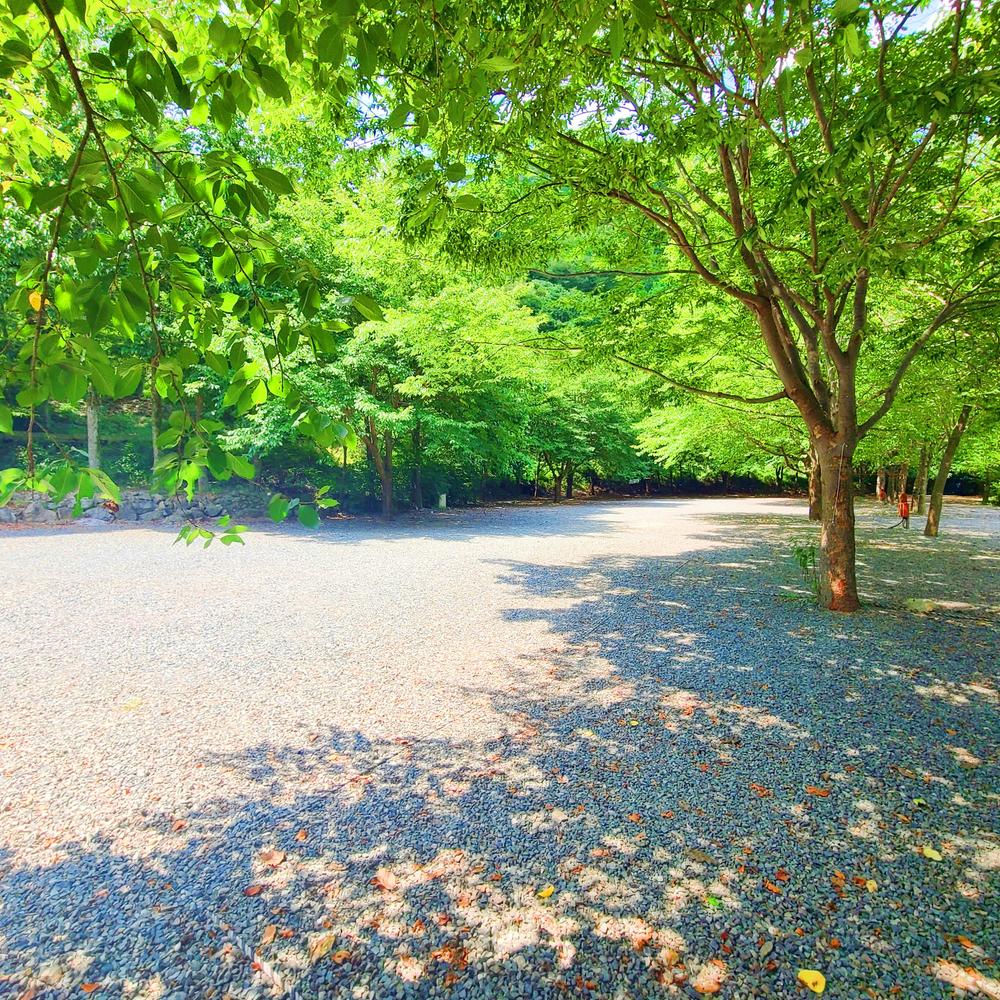 별삼킨별캠핑장