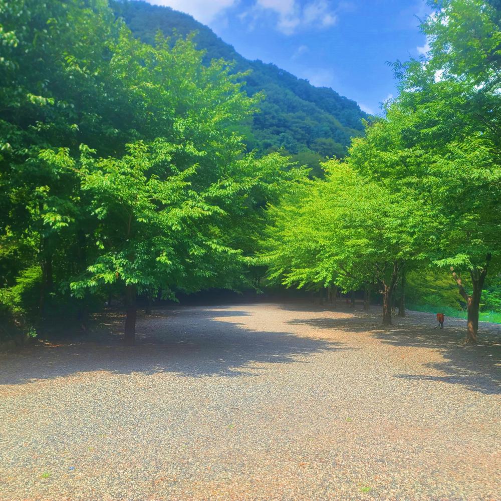 별삼킨별캠핑장