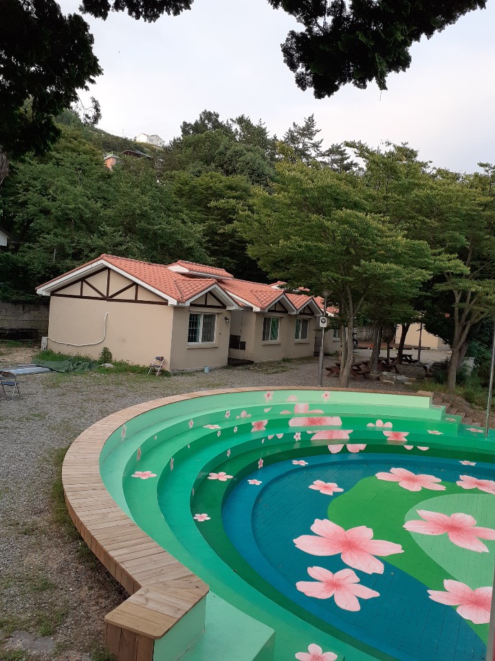 버드하우스 캠핑장 사촌해변점(구 보물섬캠핑장)