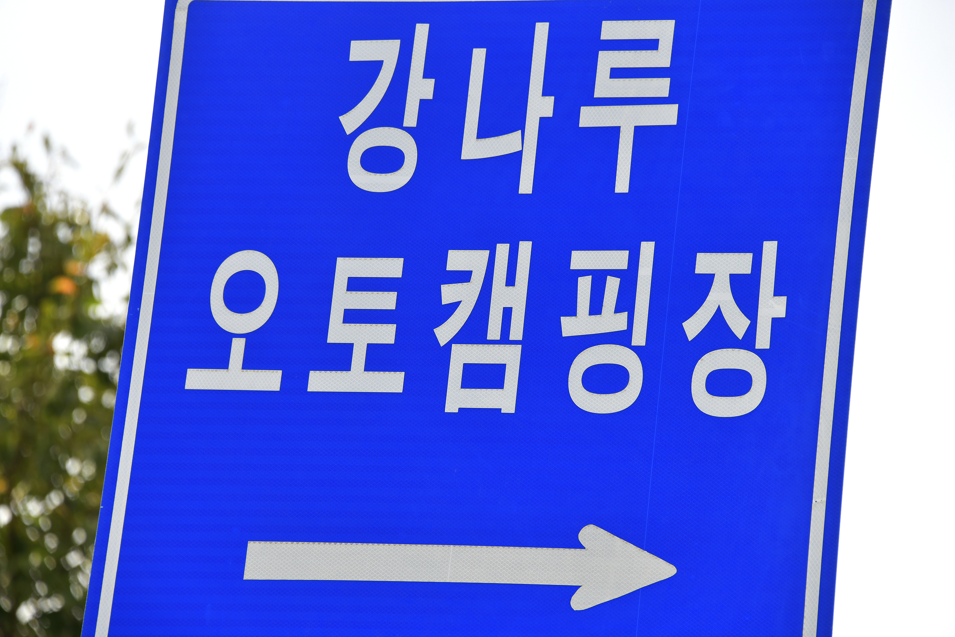 함안군 강나루오토캠핑장