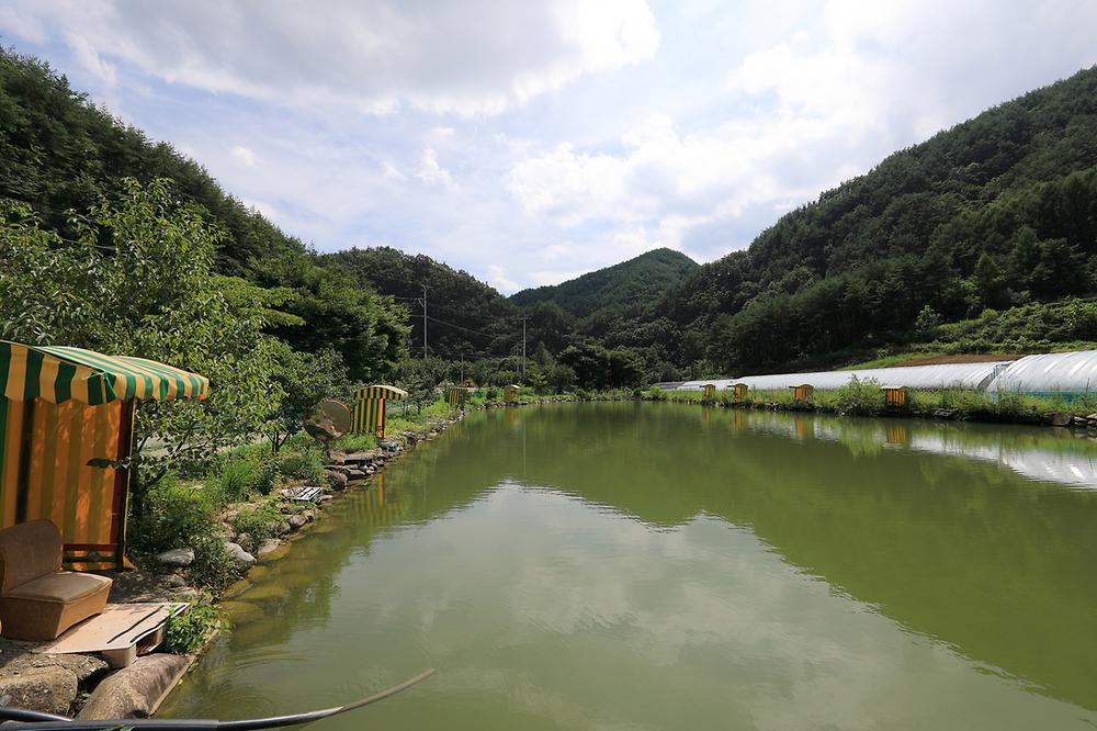 산골펜션캠핑장