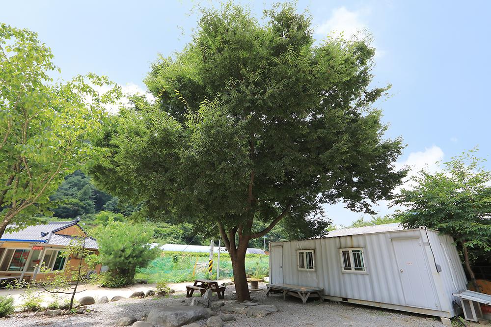 산골펜션캠핑장