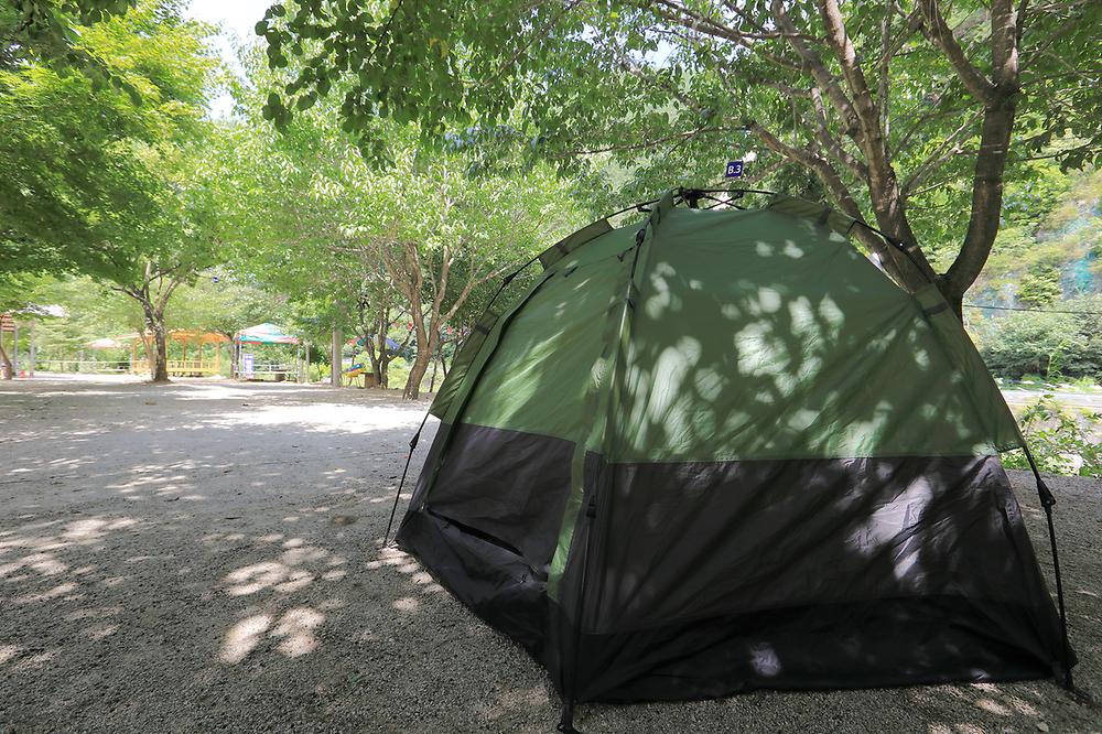 산골펜션캠핑장