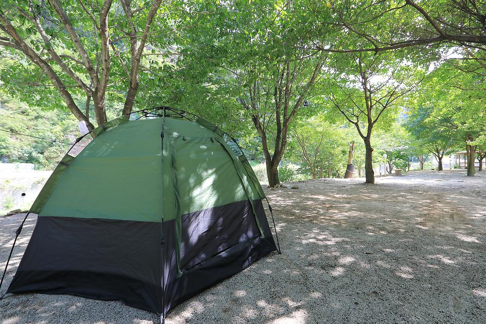 산골펜션캠핑장