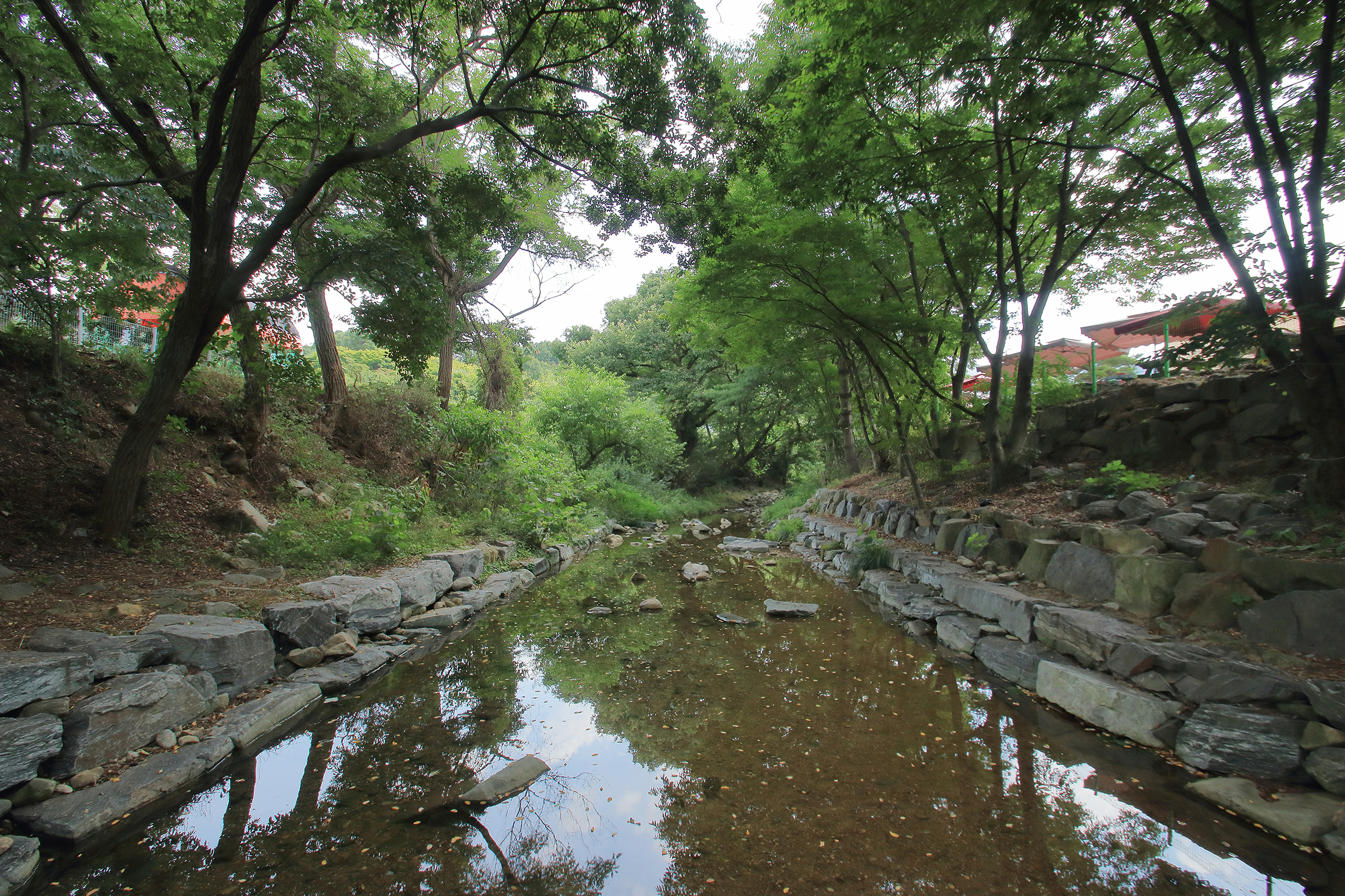 강당골캠핑파크