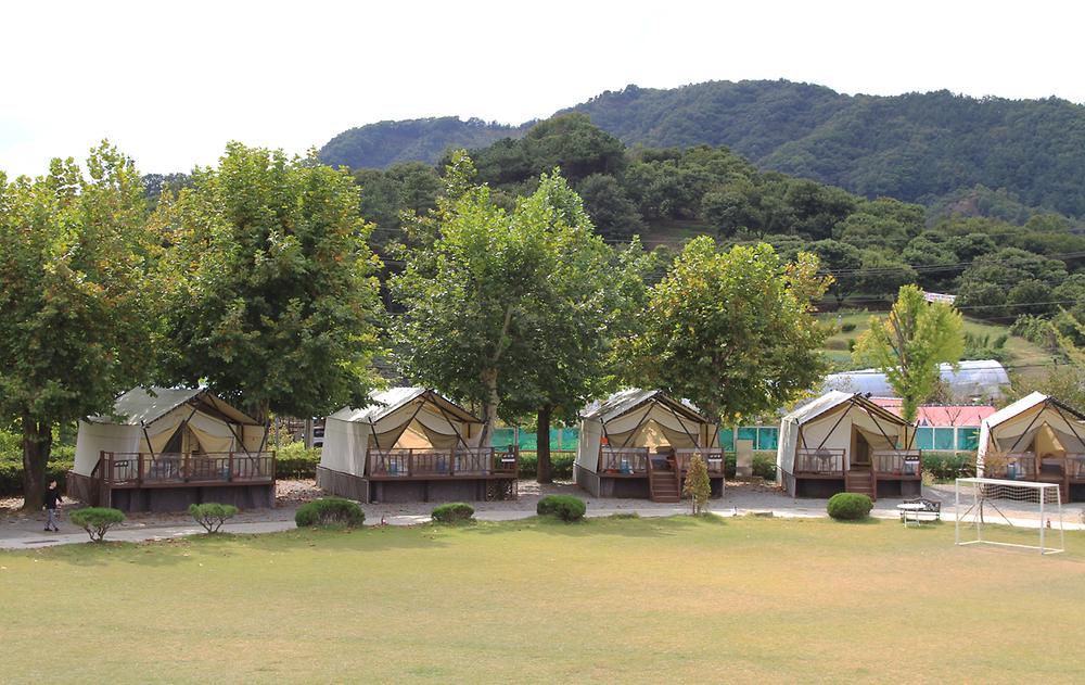 북캠프