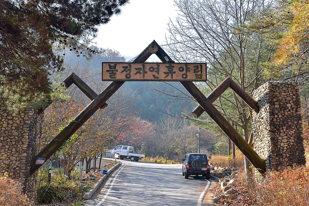 불정 자연휴양림