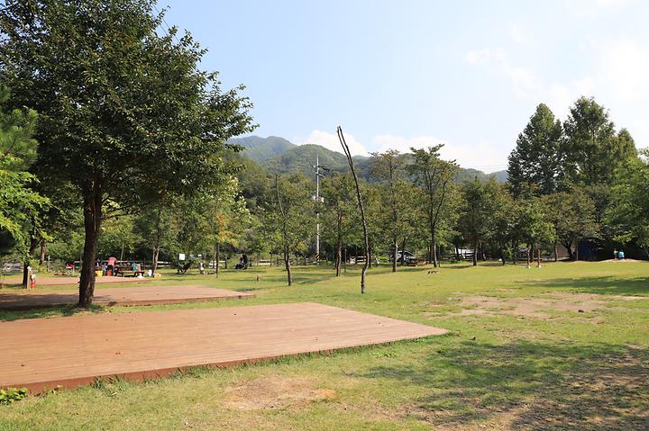비발디 캠핑파크