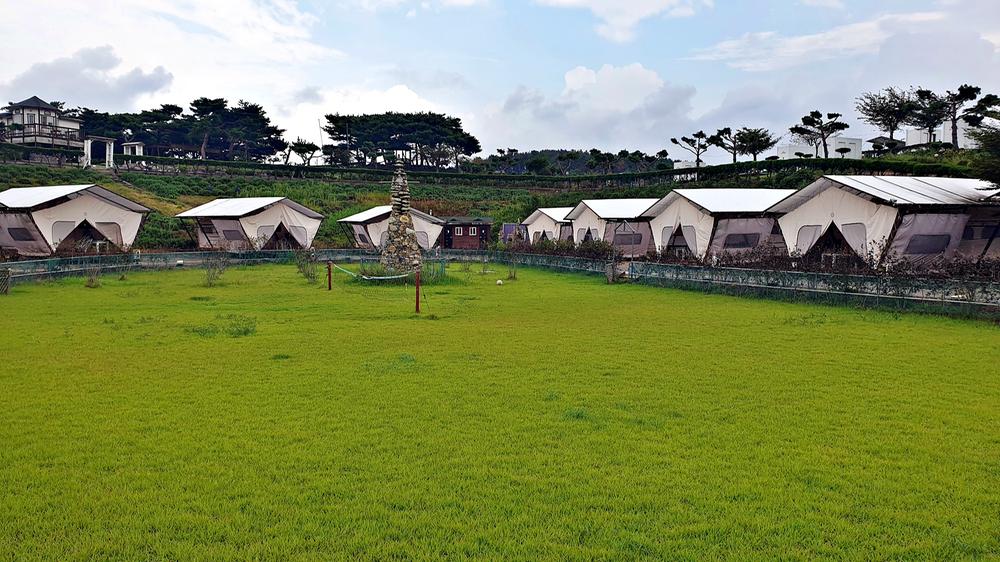 태안 안면도 비비애견동반캠핑장