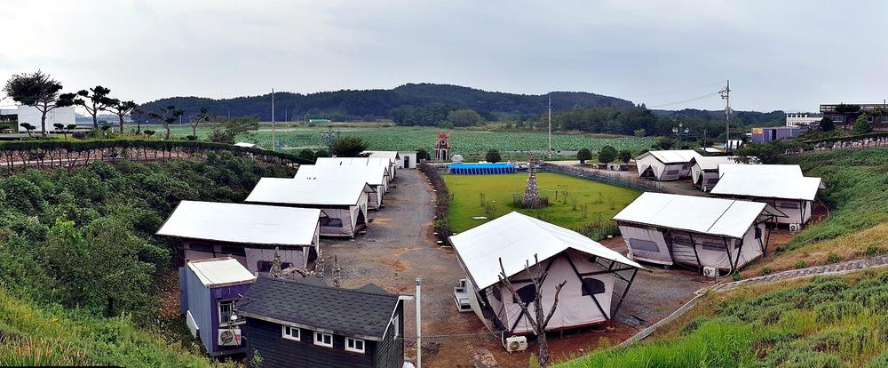 태안 안면도 비비애견동반캠핑장