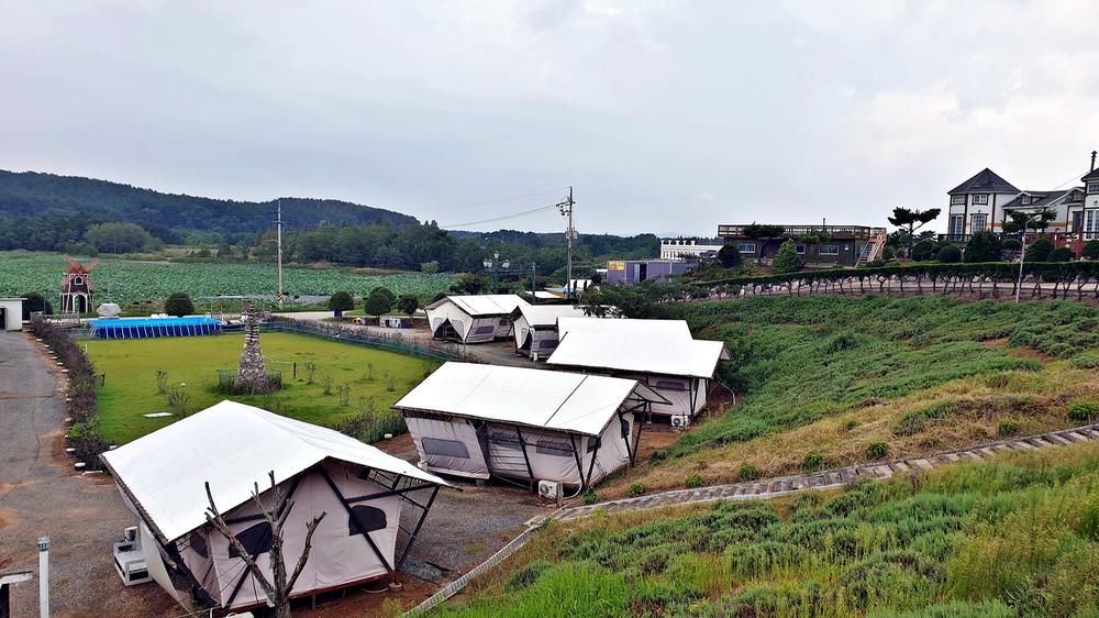 태안 안면도 비비애견동반캠핑장