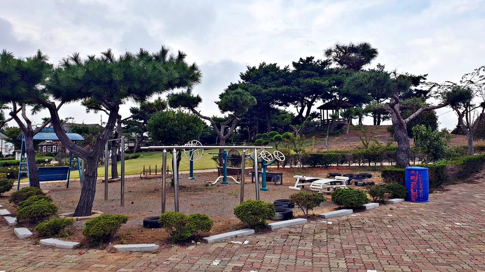 태안 안면도 비비애견동반캠핑장