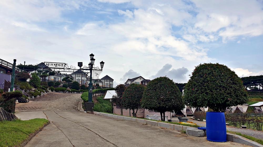 태안 안면도 비비애견동반캠핑장