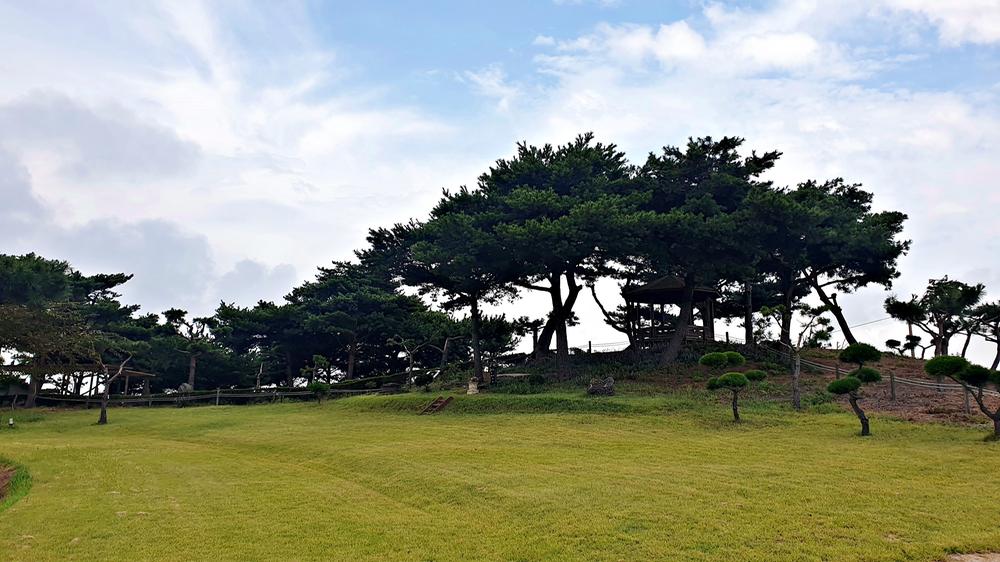 태안 안면도 비비애견동반캠핑장