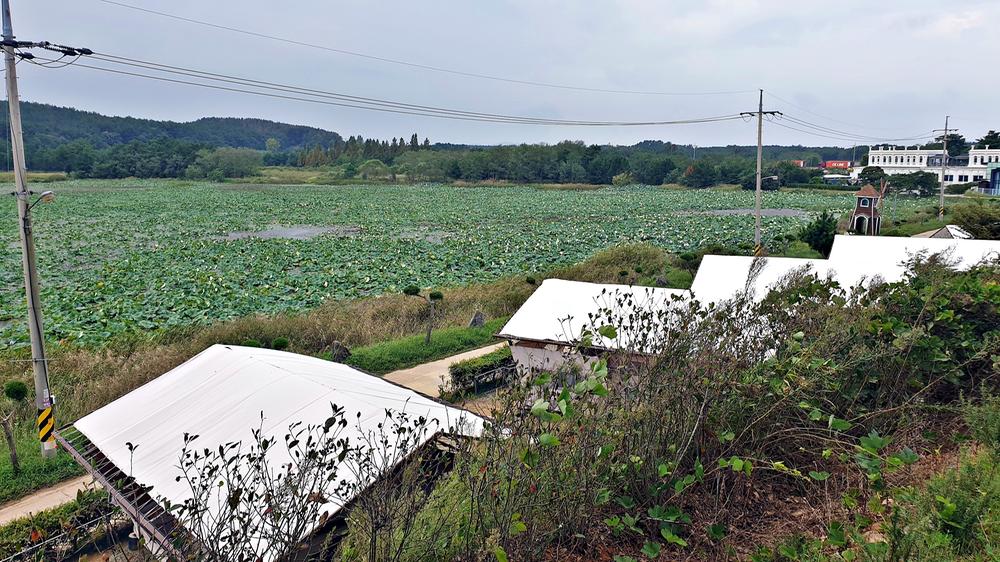 태안 안면도 비비애견동반캠핑장