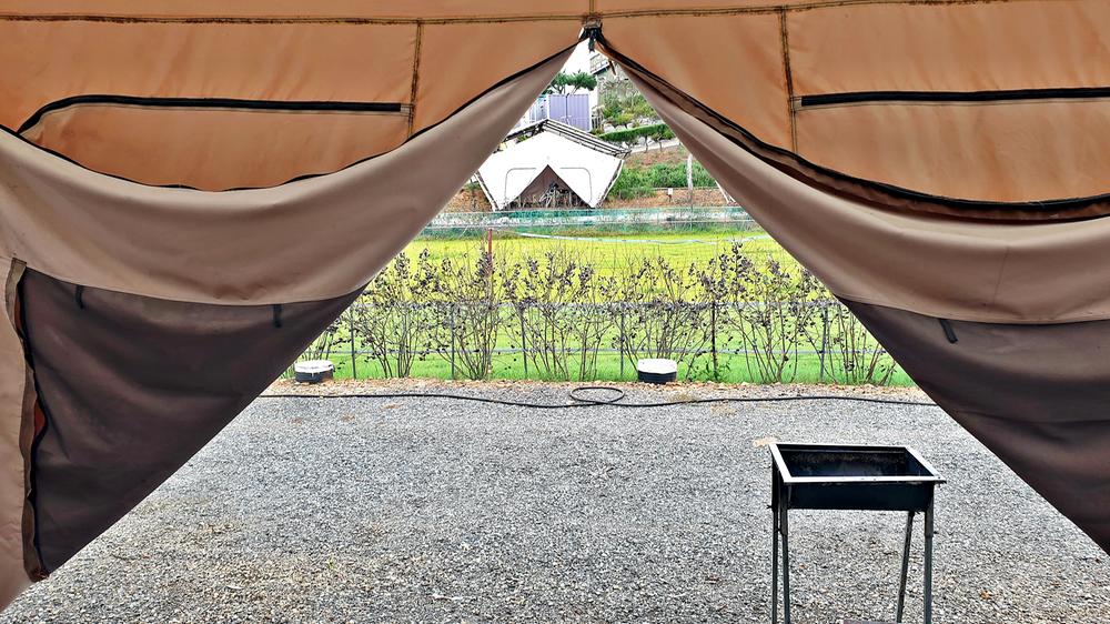 태안 안면도 비비애견동반캠핑장