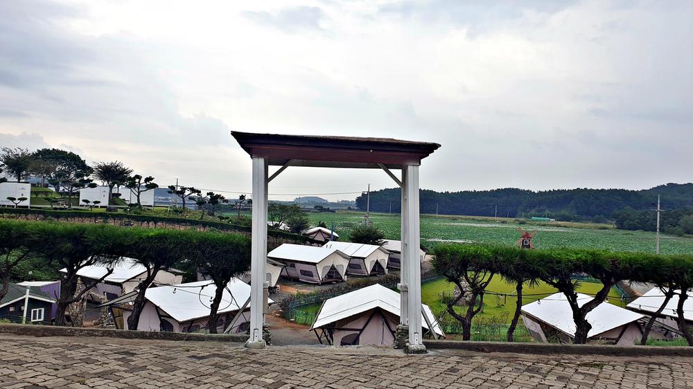 태안 안면도 비비애견동반캠핑장