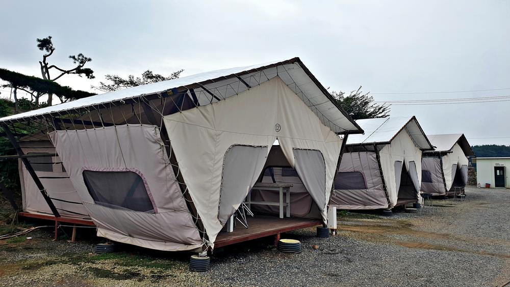 태안 안면도 비비애견동반캠핑장