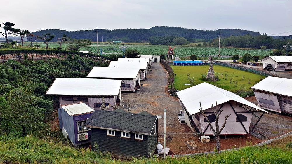 태안 안면도 비비애견동반캠핑장