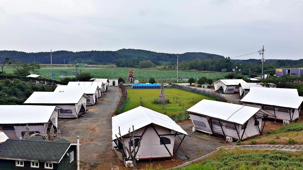 태안 안면도 비비애견동반캠핑장