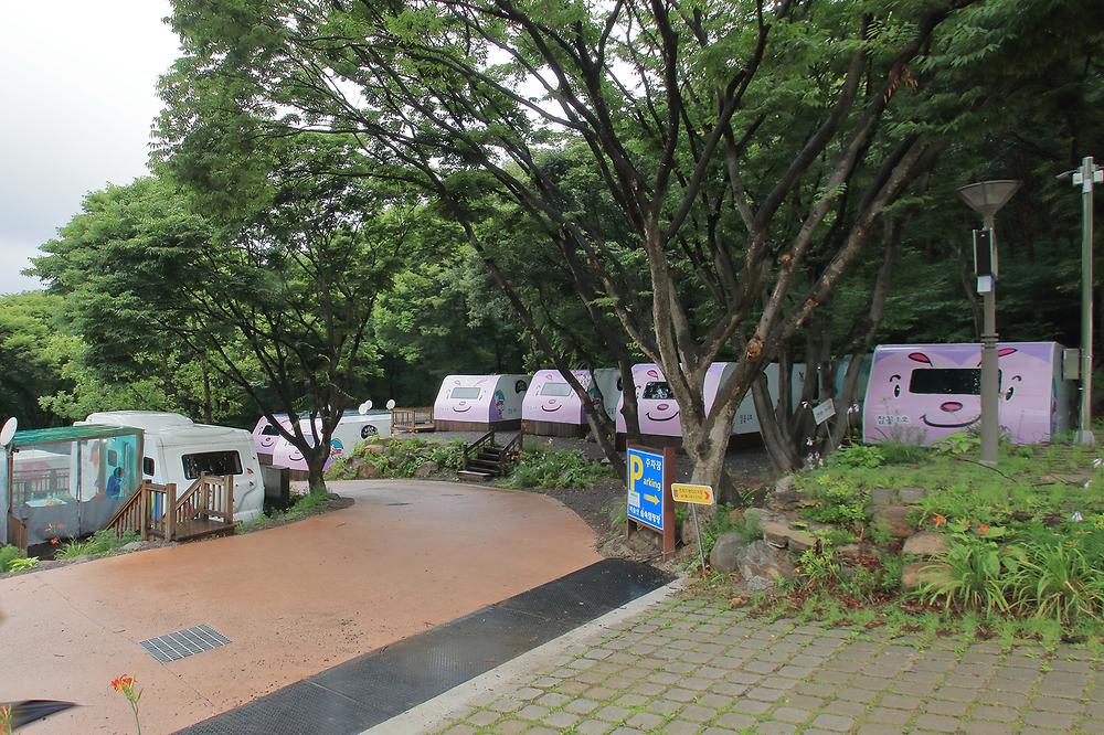 비슬산숲속오토캠핑장