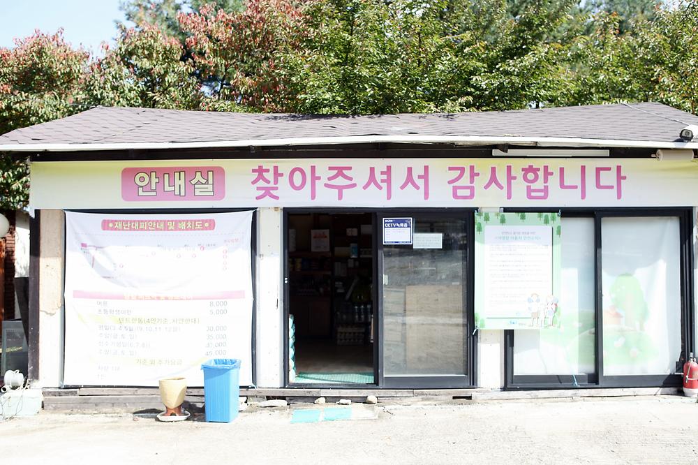 비타민 캠핑장