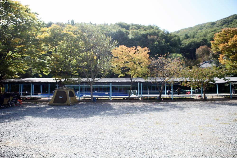비타민 캠핑장