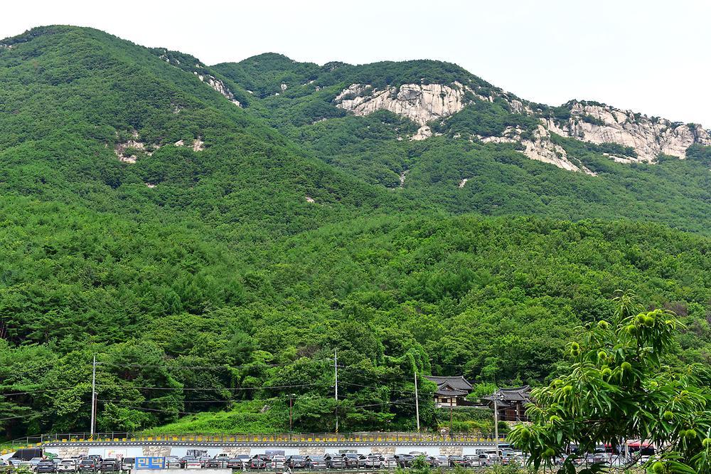 사과향기캠핑장