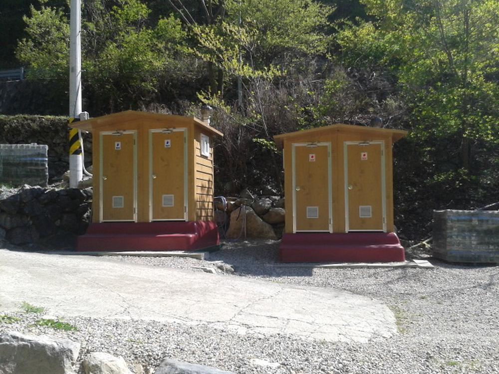 사지목 나무그늘
