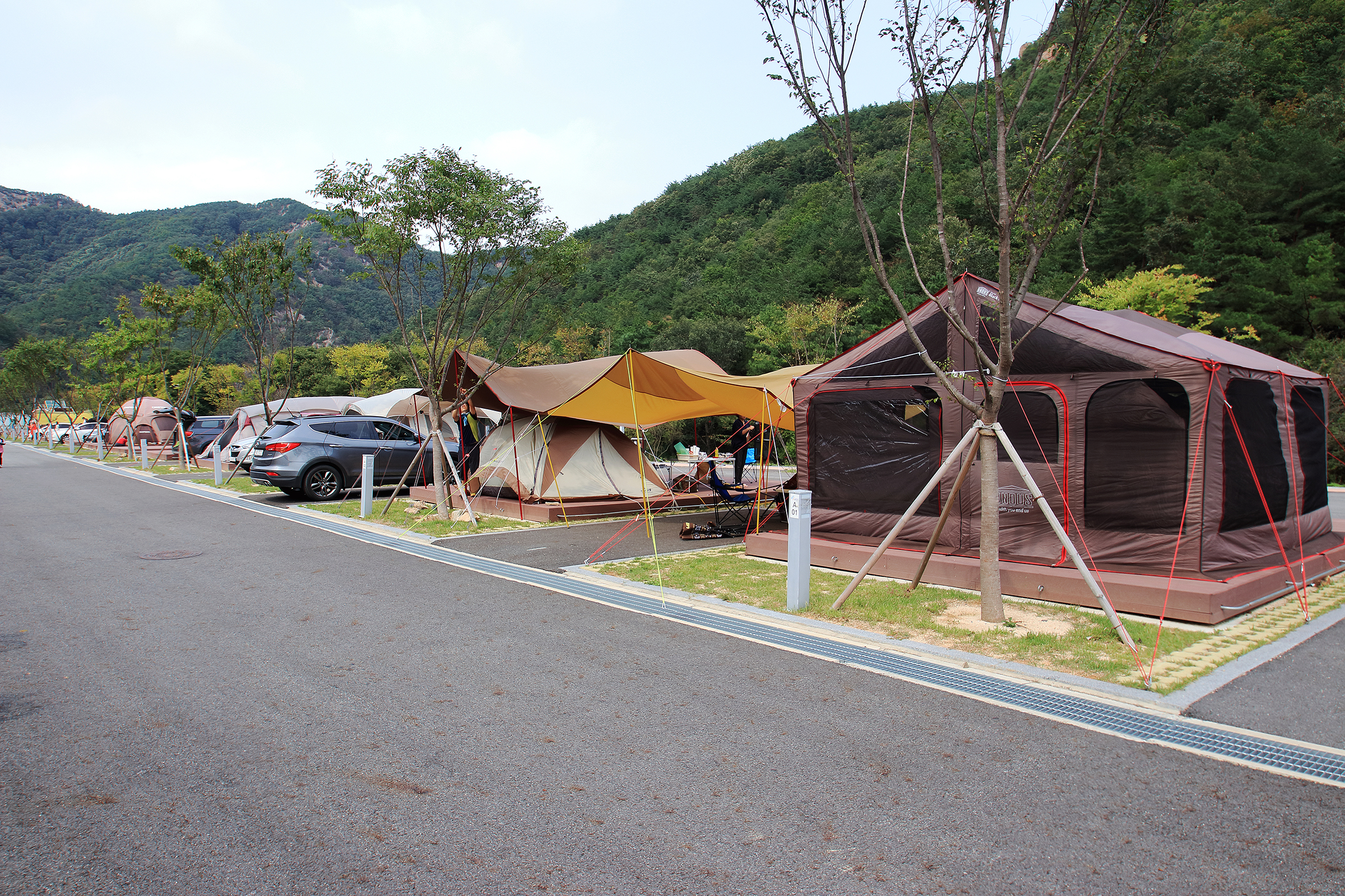 산꽃벚꽃마을 오토캠핑장