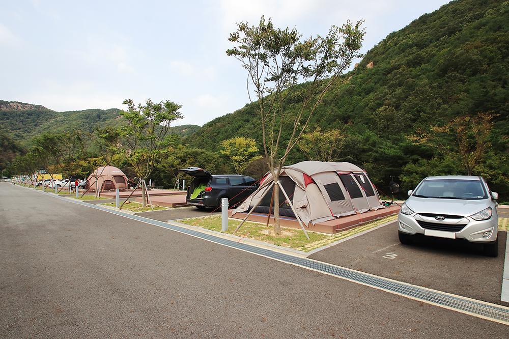 산꽃벚꽃마을 오토캠핑장