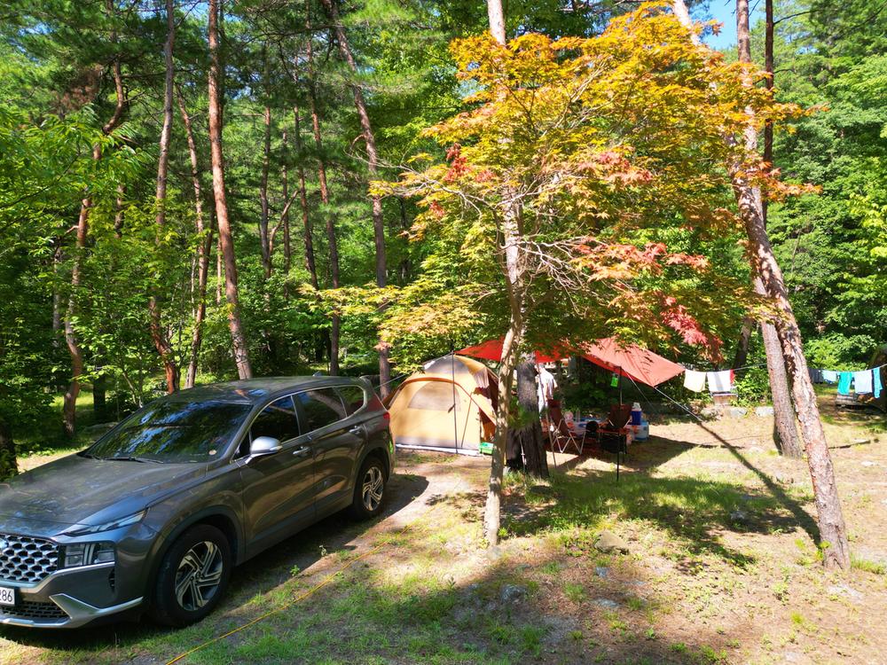 산내들 관광농원