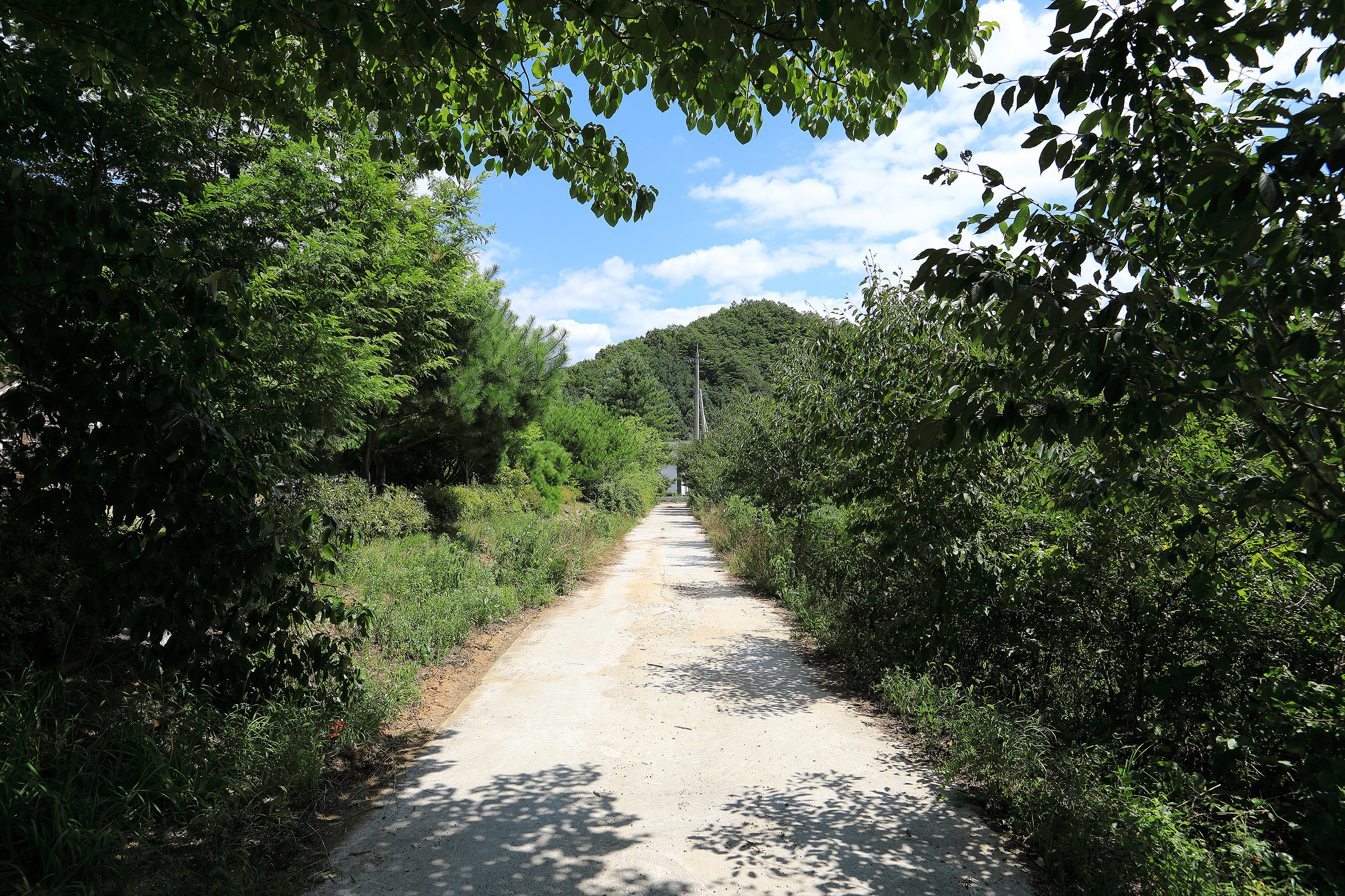 산내들캠핑