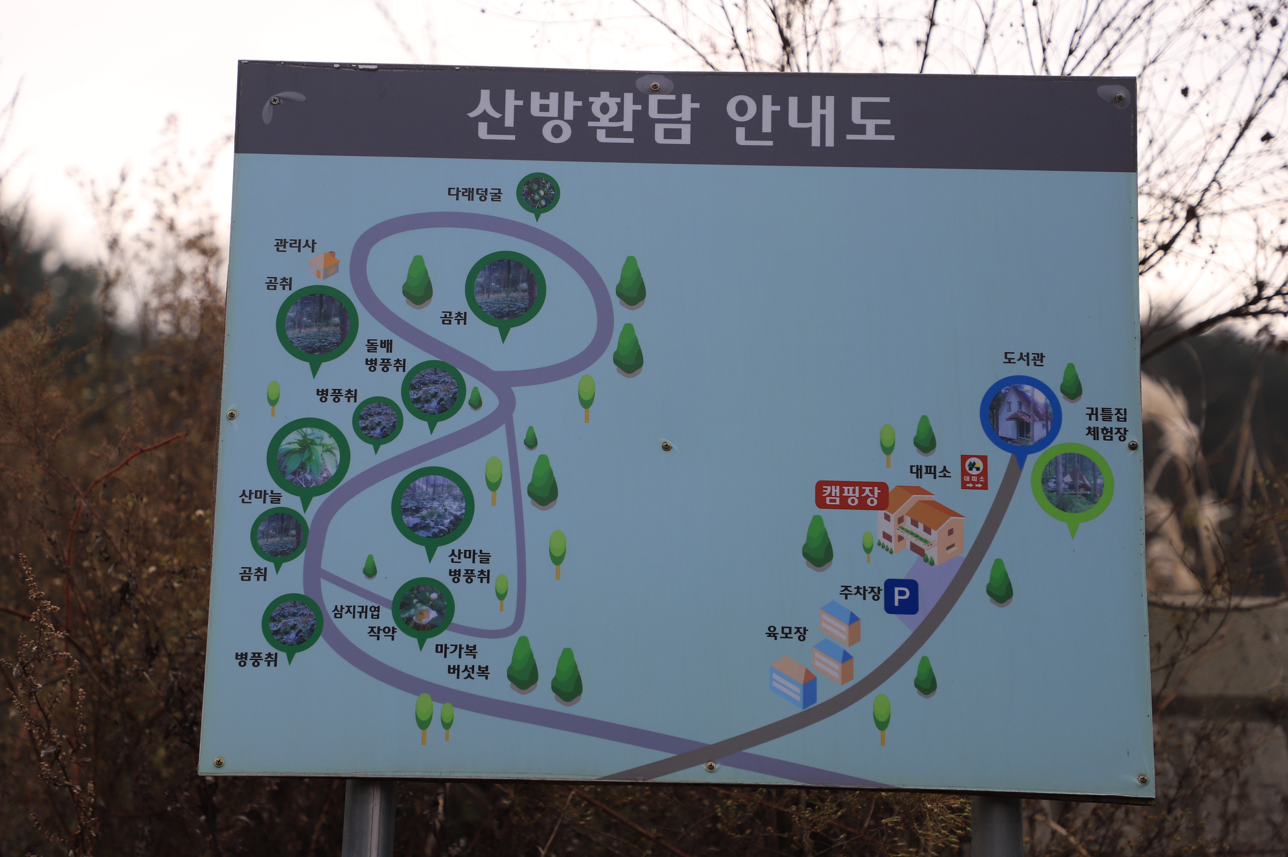 안전 및 시설배치도입니다