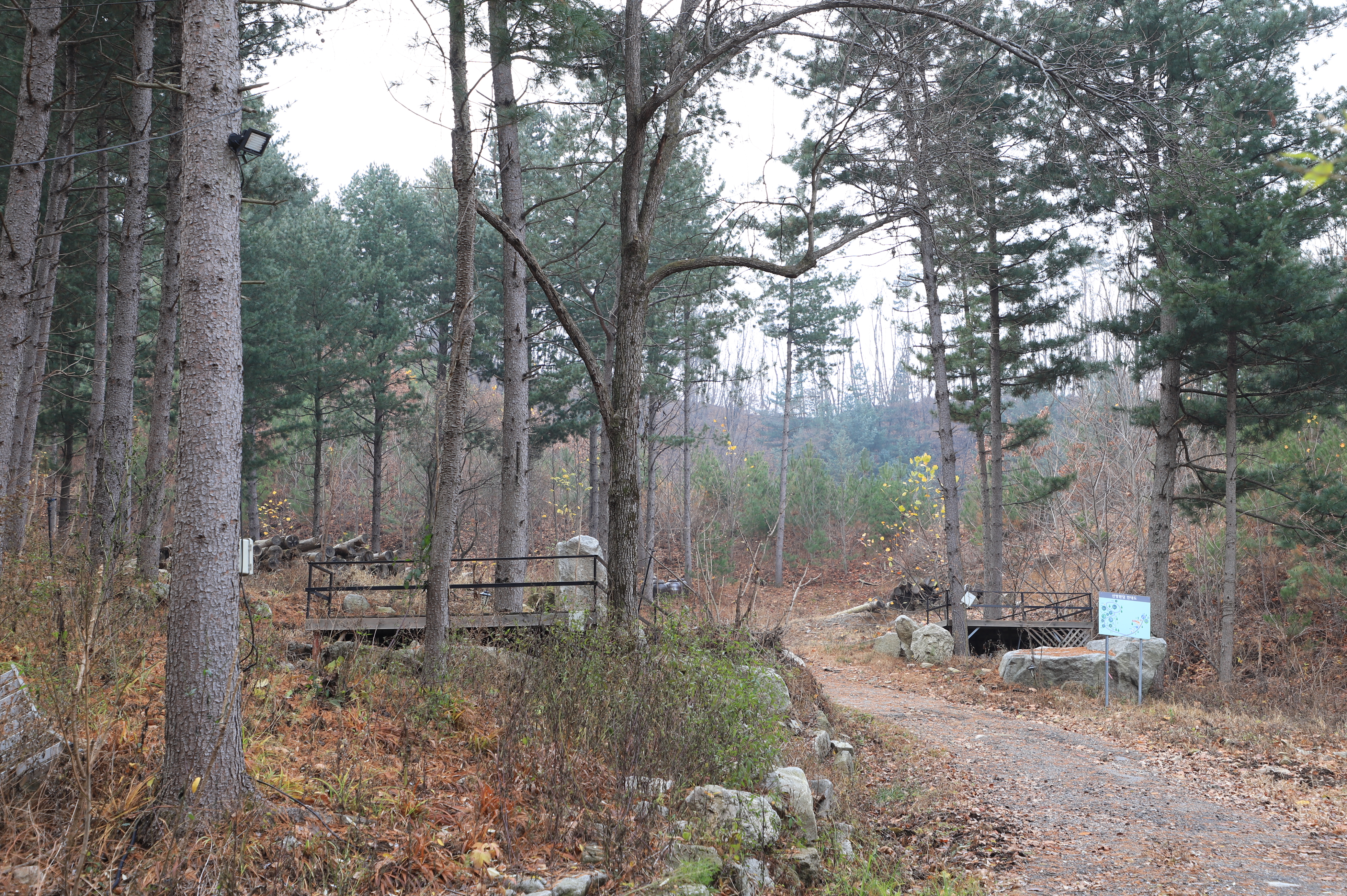 산방환담