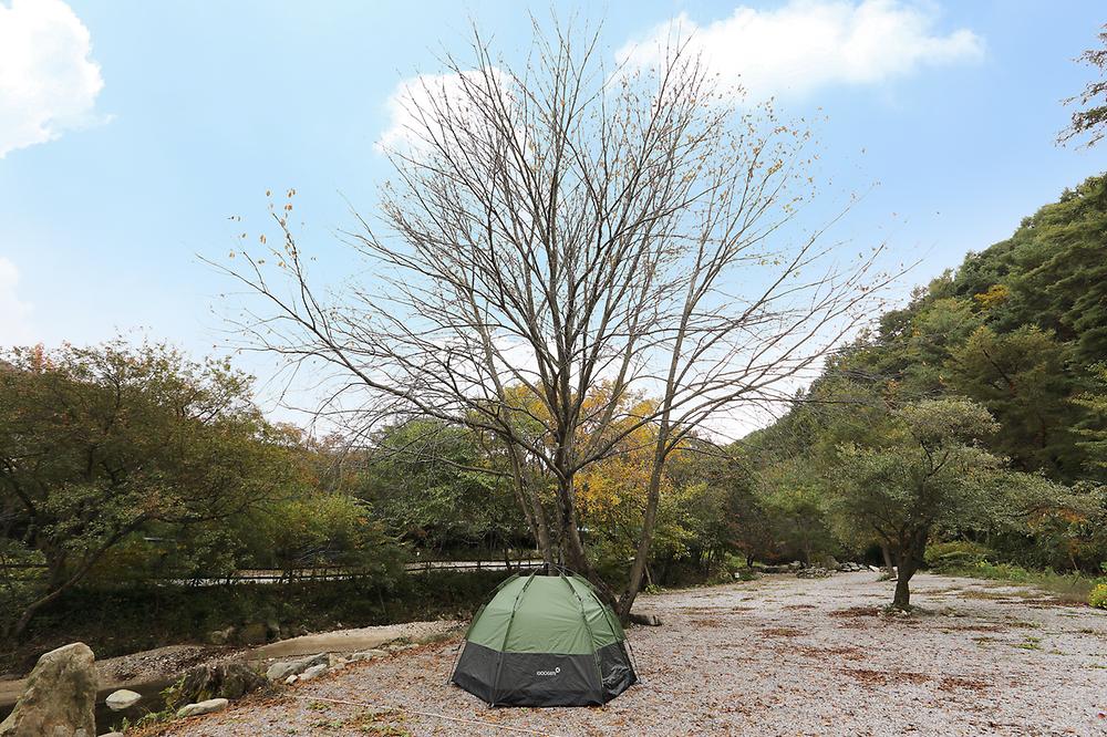 산아래 캠핑장