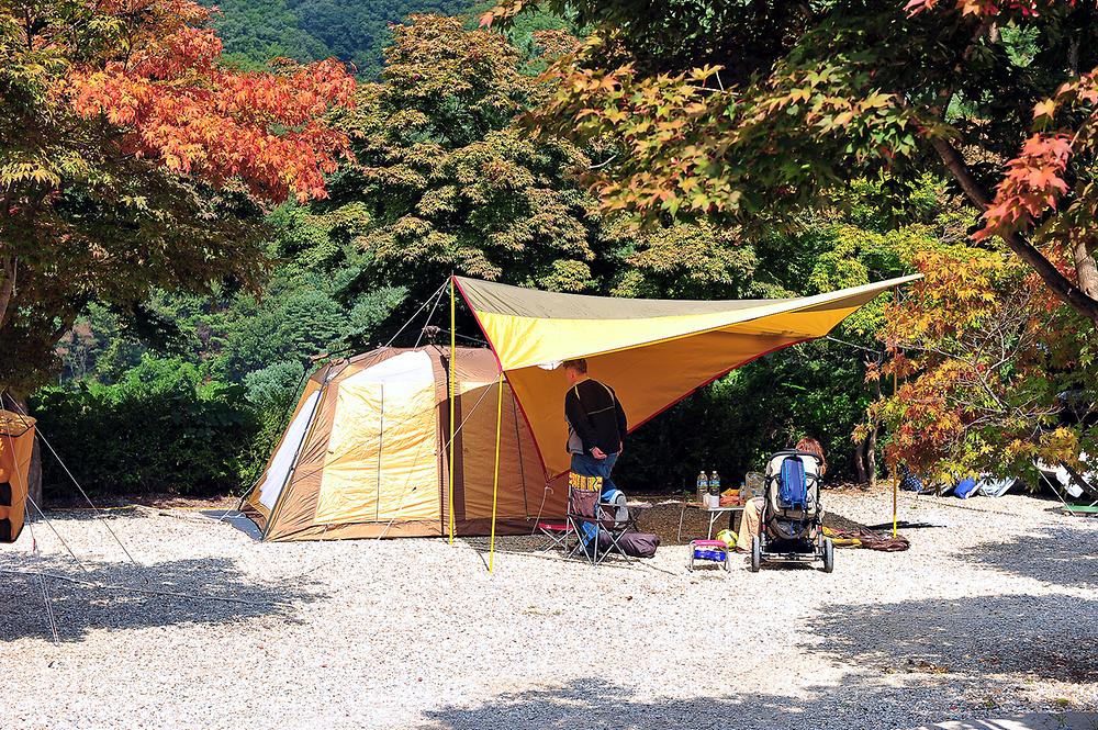 산야초 자연캠핑장