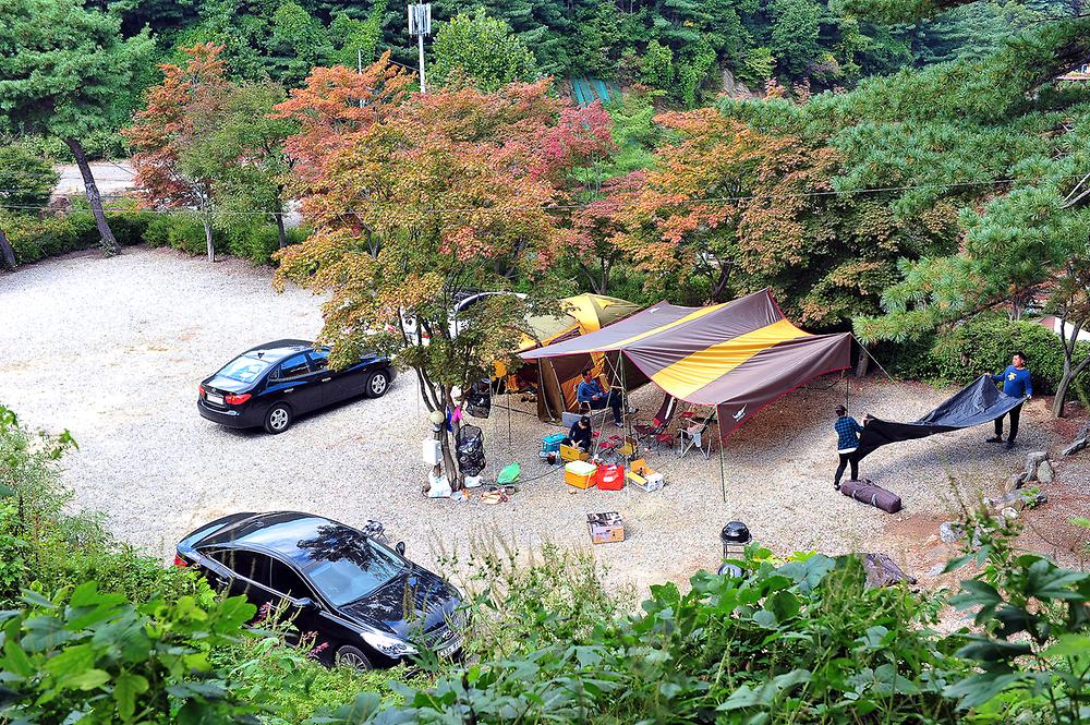 산야초 자연캠핑장