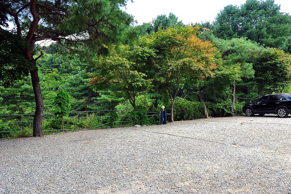 산야초 자연캠핑장