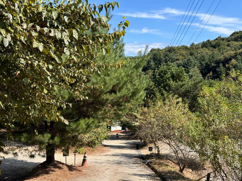산울림관광농원