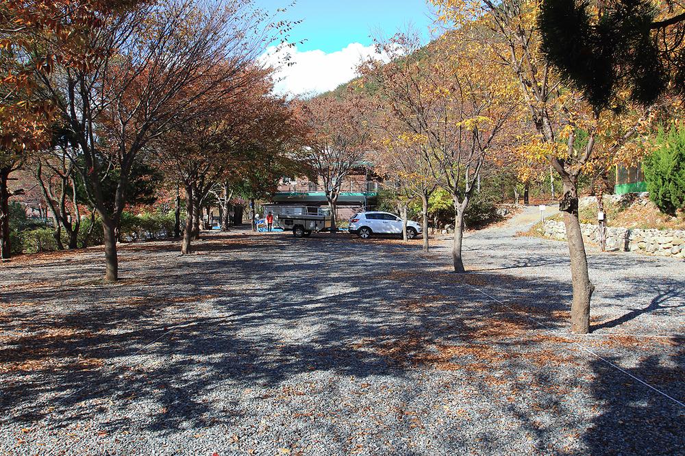 산장펜션 캠핑장