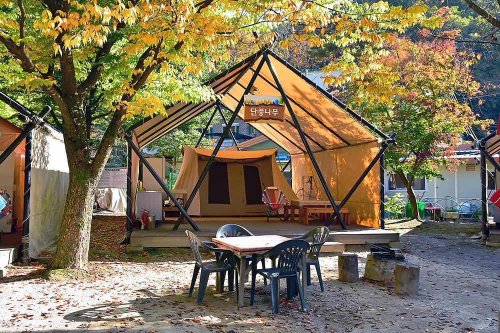 산정호수 가족글램핑장
