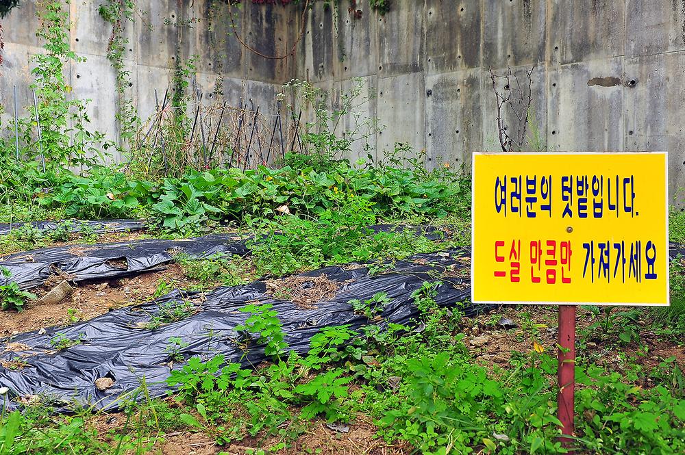 산촌오토캠핑장