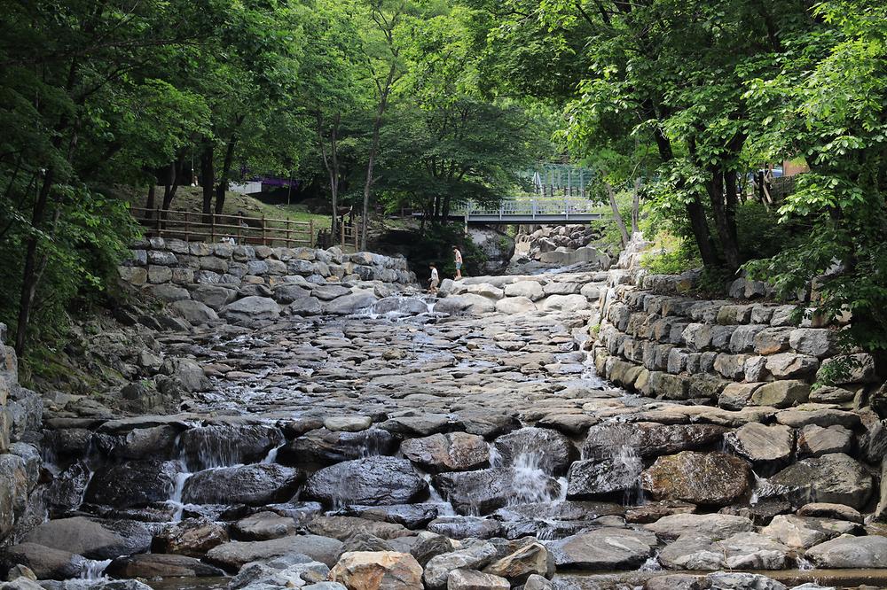 강원도산림개발연구원 집다리골자연휴양림
