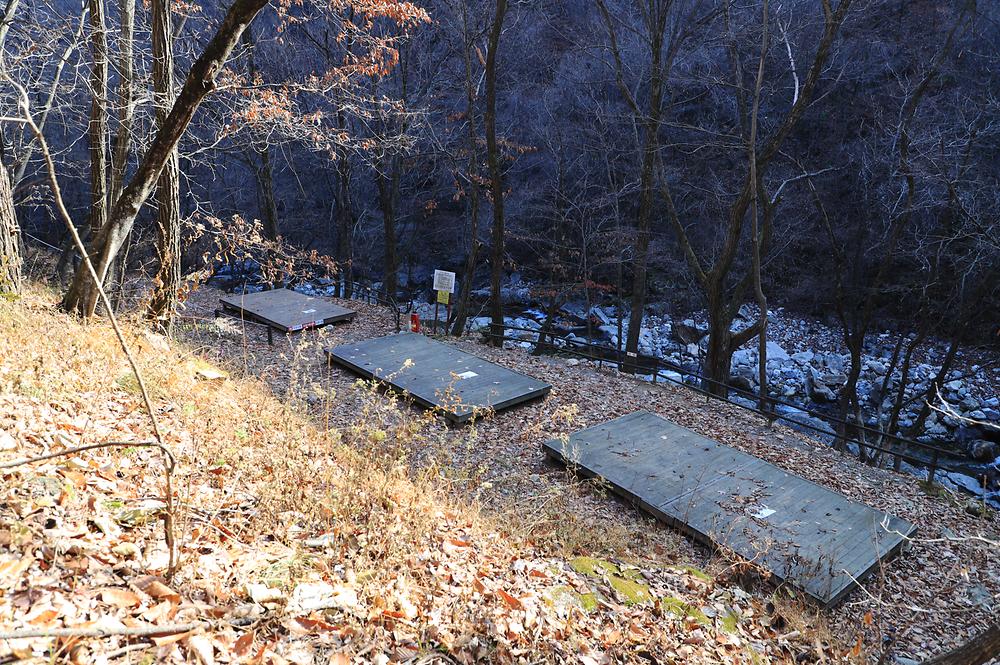 강원도산림개발연구원 집다리골자연휴양림